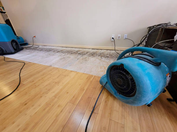 Professional Structural Drying technician working in Desert Center, CA